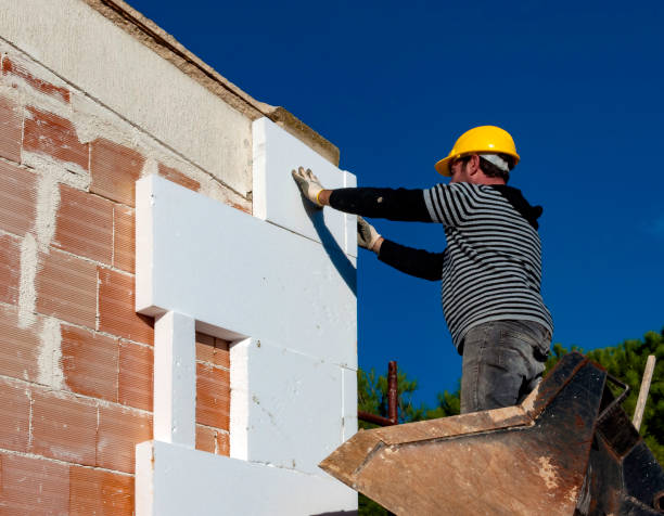 Best Spray Foam Insulation in Avilla, AR