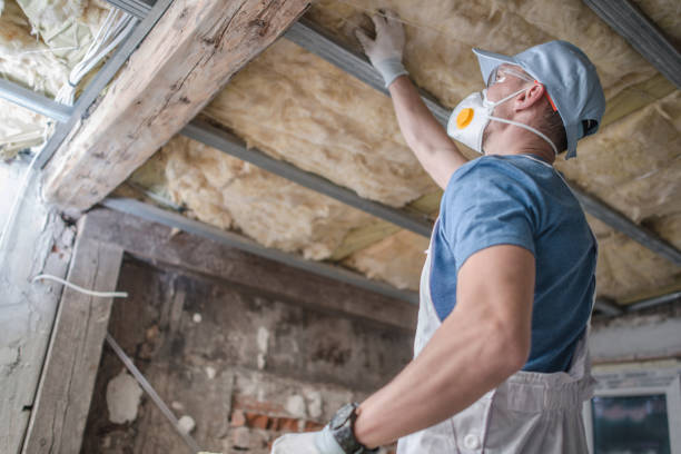 Best Commercial Insulation in Avilla, AR