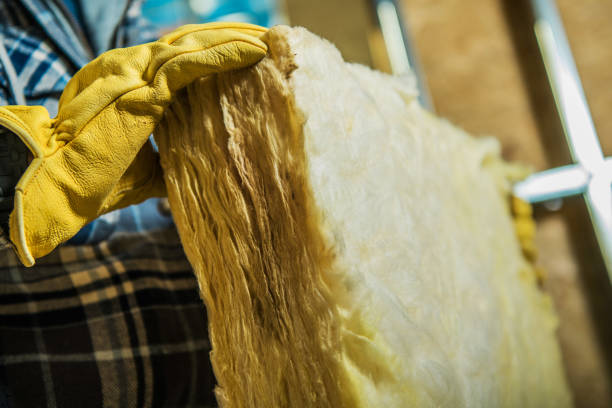 Types of Insulation We Offer in Avilla, AR