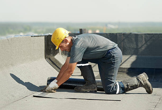 Best Insulation Maintenance and Repair in Avilla, AR